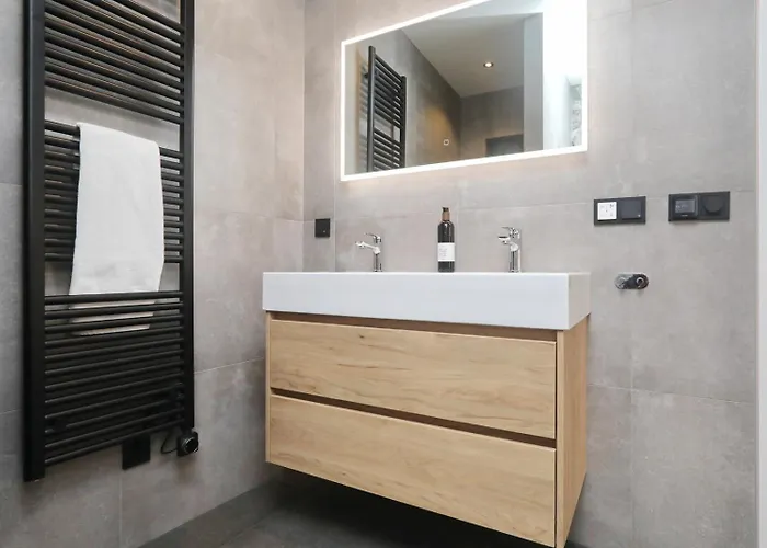 Steenhof House * ノールトウェイク